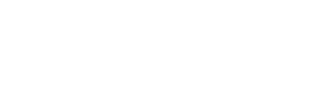 logo davide ghidelli bianco